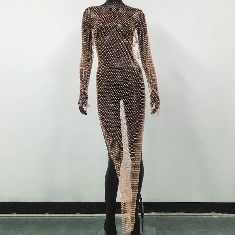 Serelina | Sparkle Mesh Maxi Dress
